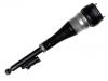 амортизатор Shock Absorber:222 320 59 01