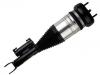 амортизатор Shock Absorber:205 320 48 68
